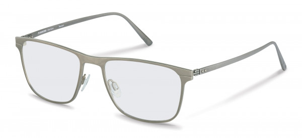 Rodenstock R8020 Eyeglasses, C titanium