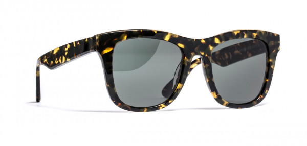 SKY EYES SOKO Sunglasses, DEMI + GOLD METAL (9555)