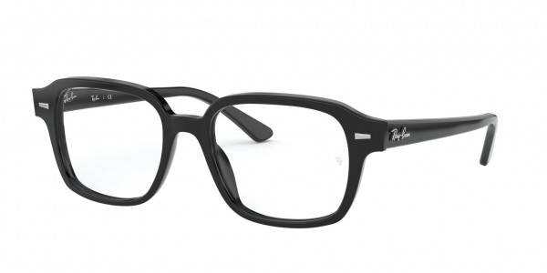 Ray-Ban Optical RX5382 Eyeglasses