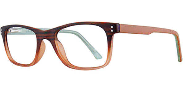 Stylewise SW527 Eyeglasses, Brown-Teal