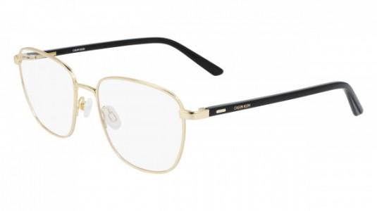 Calvin Klein CK21300 Eyeglasses, (717) GOLD