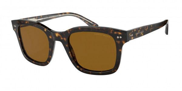 Giorgio Armani AR8138 Sunglasses, 502633 HAVANA BROWN (TORTOISE)
