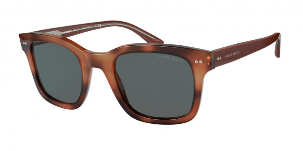 Giorgio Armani AR8138 Sunglasses, 5573B1 STRIPED BROWN DARK GREY (TORTOISE)