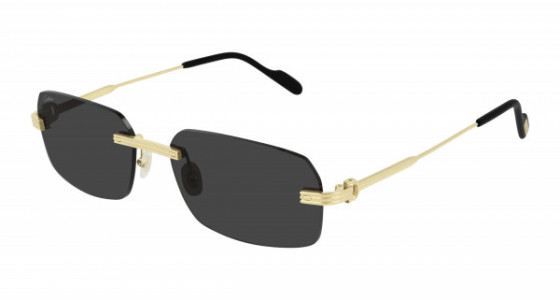 Cartier CT0271S Sunglasses