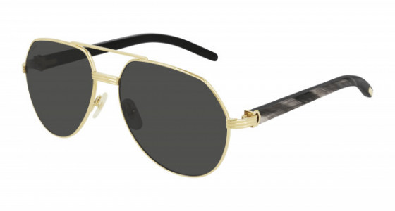 Cartier CT0272S Sunglasses