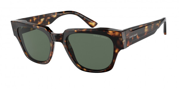 Giorgio Armani AR8147 Sunglasses