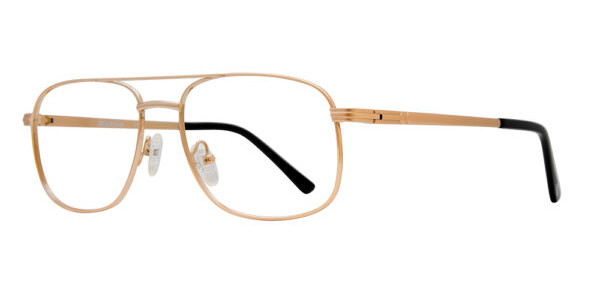 Dickies DK100 Eyeglasses, Gold