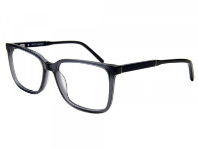Amadeus A1030 Eyeglasses, Gray