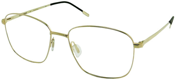 MOLESKINE MO 2131 Eyeglasses, 20-SHINY GOLD
