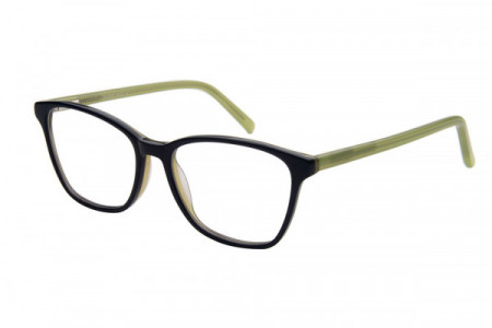 Baron BZ131 Eyeglasses, Shiny Black With Green Temple