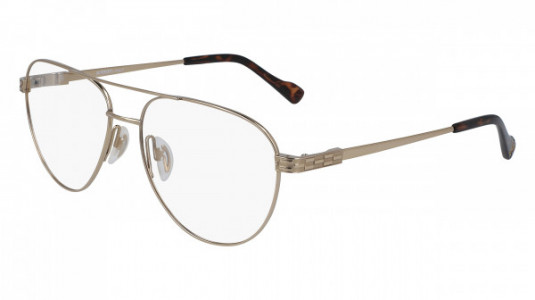 Flexon AUTOFLEX 110 Eyeglasses, (710) GOLD
