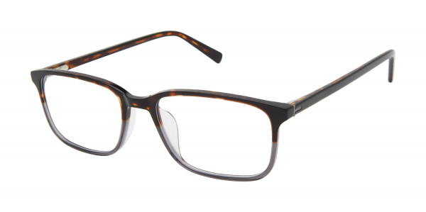Ted Baker TMUF003 Eyeglasses, Tortoise Grey (TOR)