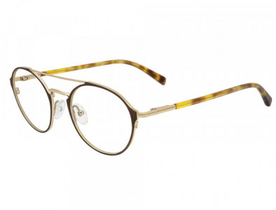 NRG N243 Eyeglasses, C-1 Brown Yellow Gold