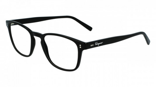 Ferragamo SF2913 Eyeglasses