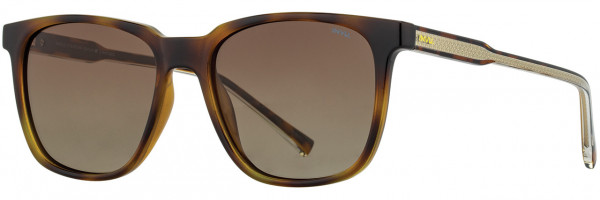 INVU INVU Sunwear 256 Sunglasses, 2 - Warm Demi / Gold