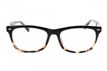 Nutmeg NM205 SUBJECT TO AVAILABILITY Eyeglasses, Demi Black