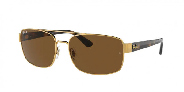 Ray-Ban RB3687 Sunglasses