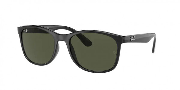 Ray-Ban RB4374 Sunglasses