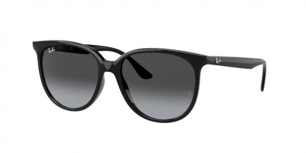 Ray-Ban RB4378F Sunglasses