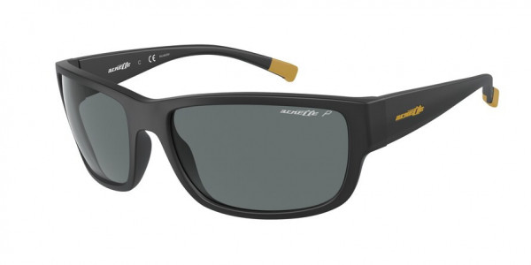 Arnette AN4256 BUSHWICK Sunglasses, 01/81 BUSHWICK MATTE BLACK POLAR DAR (BLACK)