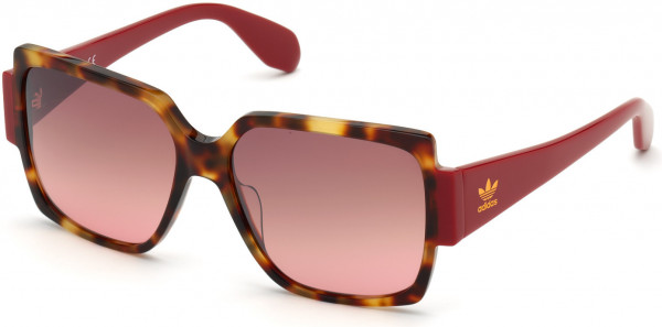 adidas Originals OR0005 Sunglasses, 54F - Red Havana / Gradient Brown Lenses