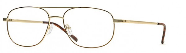 Calligraphy Whitman Eyeglasses, Gold/Tort