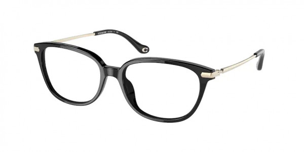 Coach HC6185 Eyeglasses, 5002 BLACK