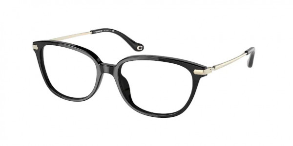 Coach HC6185F Eyeglasses, 5002 BLACK