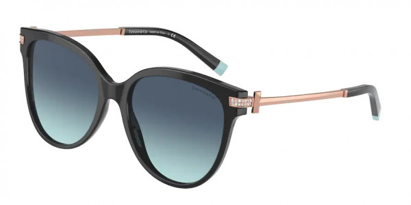 Tiffany & Co. TF4193B Sunglasses, 80019S BLACK (BLACK)