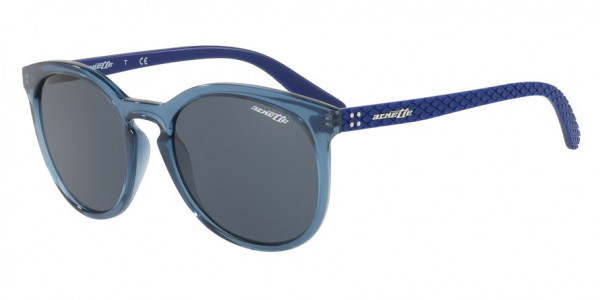 Arnette AN4241 CHENGA R Sunglasses, 251287 CHENGA R TRANSPARENT BLUE GREY (TRANSPARENT BLUE)