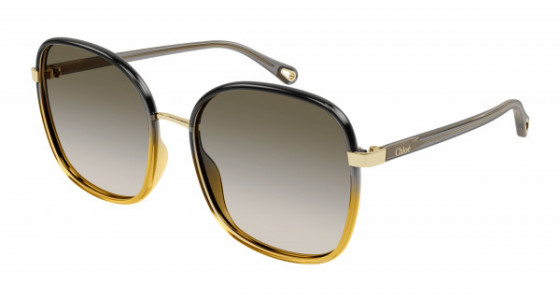 Chloé CH0031S Sunglasses, 010 - BLACK with GREY temples and BROWN lenses
