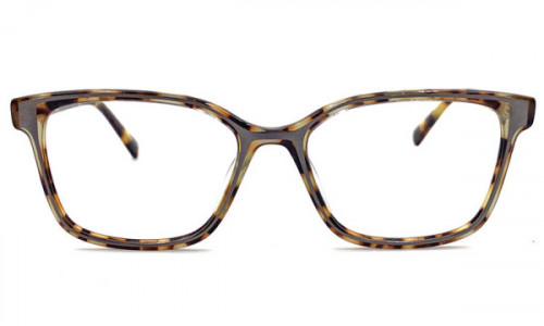 Versace 19●69 V8006 LIMITED STOCK Eyeglasses, Ts Tortoise Shell