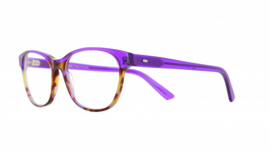 Vanni Colours V6815 Eyeglasses, purple havana/ transparent purple