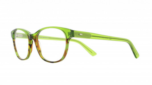 Vanni Colours V6815 Eyeglasses, green havana/ transparent green