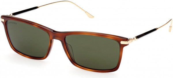 Longines LG0023 Sunglasses, 52N - Shiny Classic Havana, Shiny Pale Gold / Green Lenses