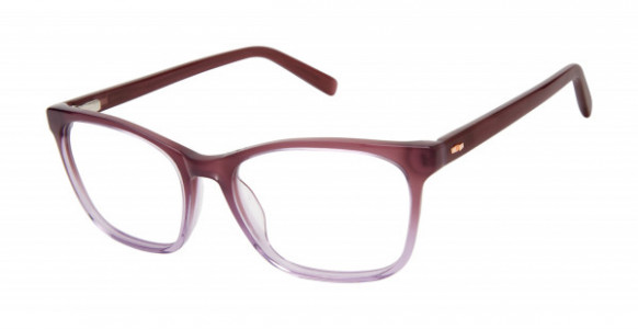 Ted Baker TWBIO003 Eyeglasses, Purple (PUR)