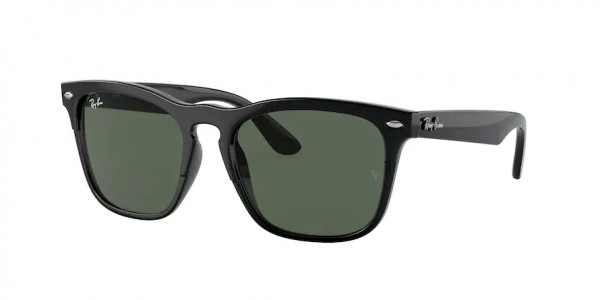 Ray-Ban RB4487F STEVE Sunglasses, 662971 STEVE BLACK DARK GREEN (BLACK)