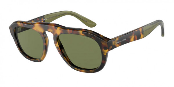 Giorgio Armani AR8173 Sunglasses, 50922A YELLOW HAVANA GREEN (TORTOISE)