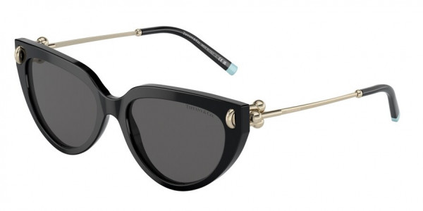 Tiffany & Co. TF4195F Sunglasses, 8001S4 BLACK DARK GREY (BLACK)