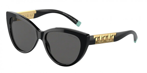 Tiffany & Co. TF4196 Sunglasses, 8001S4 BLACK DARK GREY (BLACK)