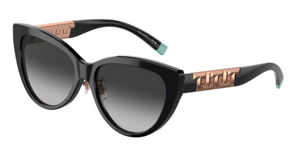 Tiffany & Co. TF4196F Sunglasses, 80013C BLACK GREY GRADIENT (BLACK)