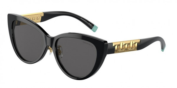 Tiffany & Co. TF4196F Sunglasses, 8001S4 BLACK DARK GREY (BLACK)