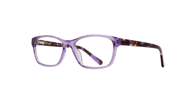 Georgetown GTN812 Eyeglasses, Crystal Purple