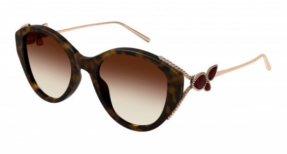 Boucheron BC0134S Sunglasses, 003 - HAVANA with GOLD temples and RED lenses