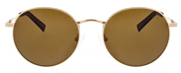 Hurley HSM2001P Sunglasses, 770 Shiny Gold/Brn