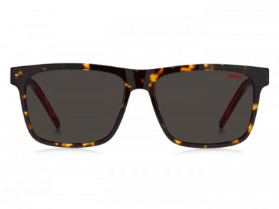 HUGO HG 1242/S Sunglasses, 0O63 HAVAN RED