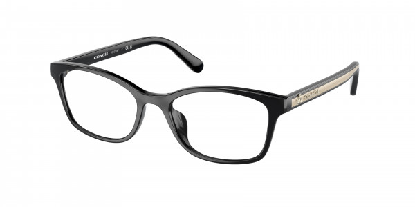 Coach HC6216F Eyeglasses, 5002 BLACK