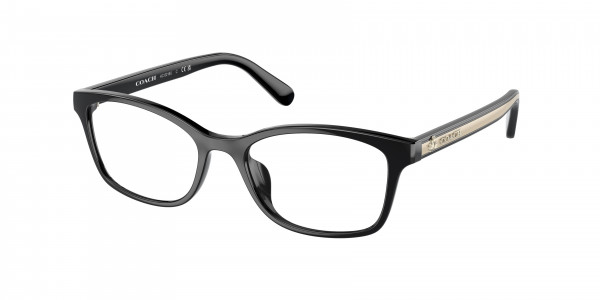 Coach HC6216U Eyeglasses, 5002 BLACK