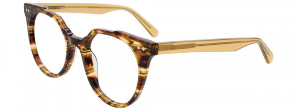 Paradox P5092 Eyeglasses, 010 - Tr. Khaki & St. Tor