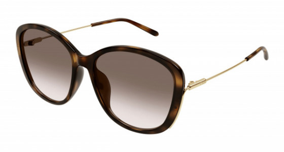 Chloé CH0175SK Sunglasses, 002 - HAVANA with GOLD temples and BROWN lenses